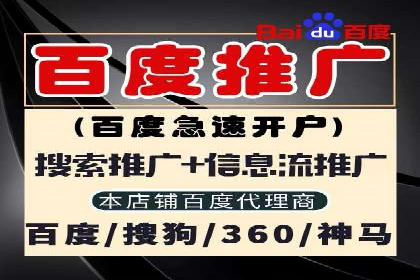 SEM代运营托管公司成功案例：提升转化率的关键策略